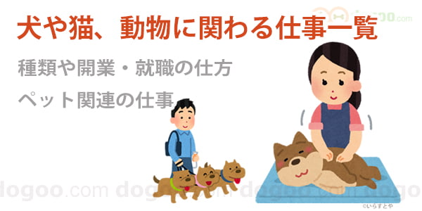 犬や猫に関わる仕事 一覧リスト 39種類 就職と開業 犬のq A集 Dogoo Com