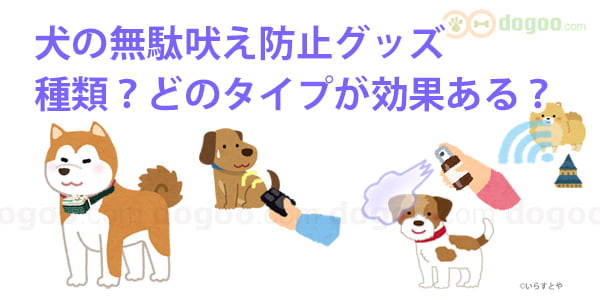 犬に無駄吠え防止グッズ 種類は どのタイプが効果ある 犬のq A集 Dogoo Com