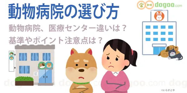 犬 動物病院 選び方 探し方 クチコミ