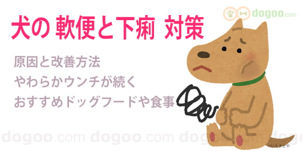 子犬 うんち ゆるい