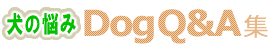 ybg̔Y Dog Q&AW