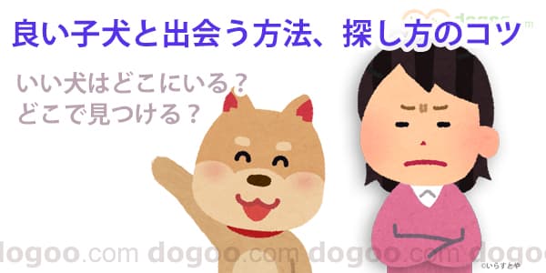 犬の十戒 犬 飼い主 覚悟 心得