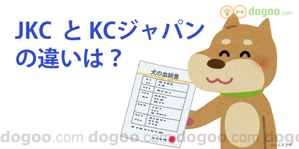 JKCとKCジャパンの違い、犬の血統書発行団体 | 犬のQ&A集 - dogoo.com