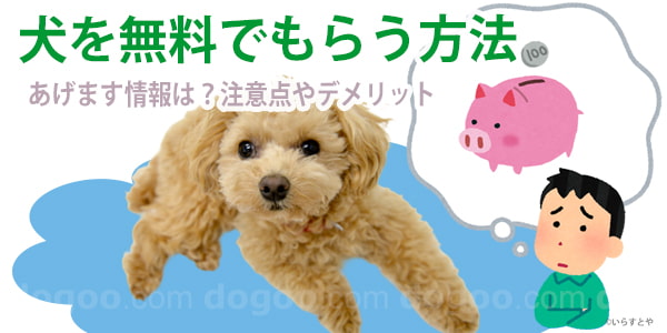 犬 無料 もらう 方法 タダ 譲ってほしい
