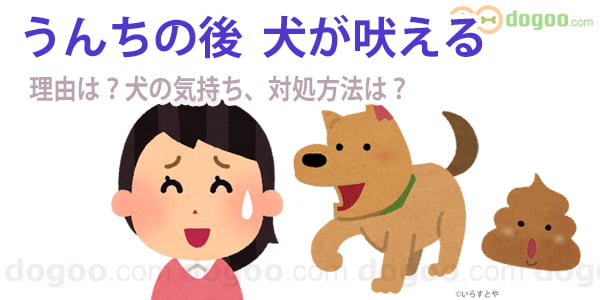 犬 うんち後 吠える 理由 気持ち