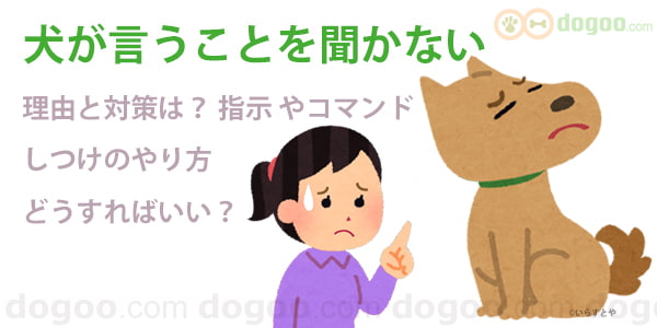 犬 言うこと 聞かない シツケ 直し方 指示 コマンド 対処 対策