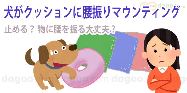 犬 クッション 腰を振る マウンティング 止める 対策 布団 物 服 フリース 毛布