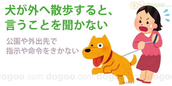 散歩や外出すると 犬が言うことをきかない 犬のq A集しつけ Dogoo Com