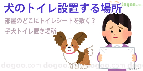 犬のトイレ 設置する場所は部屋のどこが良い 犬のq A集 Dogoo Com