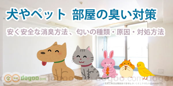 犬 ペット 部屋 室内 臭い 対策 消臭